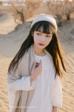 十二谭电视剧免费观看